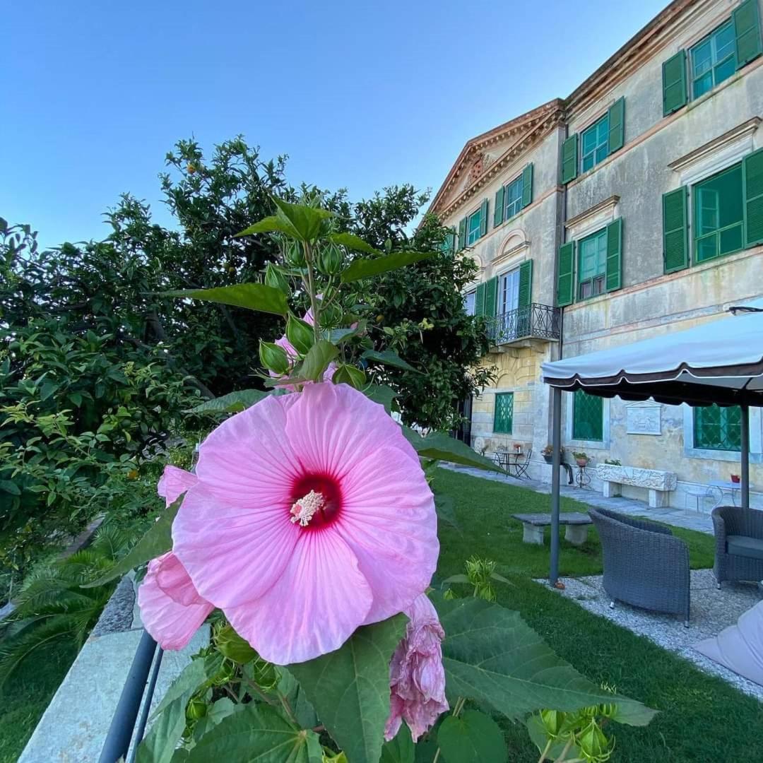 Agriturismo Villa Cavallini Camaiore Exteriér fotografie